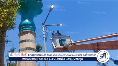 تركيب كشافات جديدة لتحسين منظومة الإنارة بقرية النخيلة بمركز أبوتيج بأسيوط 