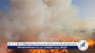 للمرة الثانية اليوم.. حريق هائل في مخزن كتان بالغربية