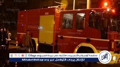 نفوق 110 رأس أغنام وتفحم 6 أشجار نخيل إثر حريق هائل  بالمنيا 