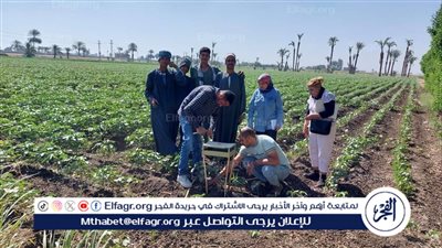 مديرية الزراعة تتابع زراعات القطن بمركز أسيوط