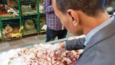 ضبط 200 كجم من اللحوم غير صالحة للاستهلاك الآدمى بأسوان