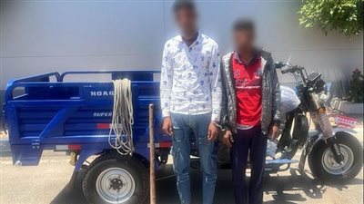 كشف ملابسات فيديو تعدي شخصان على آخر بالدقهلية