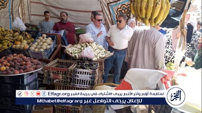 التأكيد على الإلتزام بالأسعار المخفضة..محافظ الدقهلية يتفقد منفردا سوق اليوم الواحد وعدد من منافذ البيع