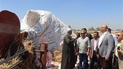 محافظ القليوبية: توريد 41 ألف طن قمح للشون والصوامع