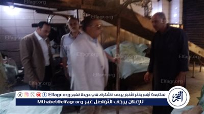 محافظ الدقهلية في جولة مفاجأة علي أفران الخبز..صور