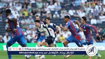 الملكية المشتركة تبعد كريستال بالاس عن الدوري الأوروبي