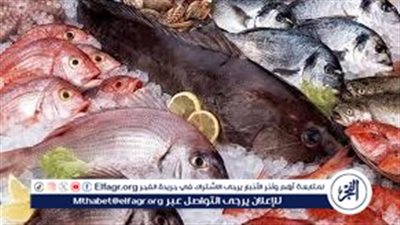 تعرف على أسعار الأسماك اليوم الاثنين الموافق 12-5-2025 فى سوهاج