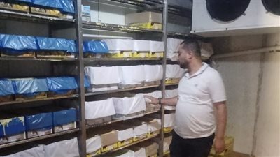 محافظة الجيزة تضبط معمل غير مرخص يغش الزبدة البلدي باستخدام سمن صناعي ومكسبات طعم