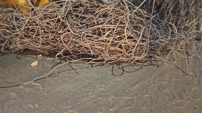 انقلاب سيارة محملة بالحديد بالطريق الزراعي بالقليوبية