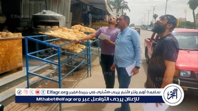 محافظ الإسماعيلية يتابع تفتيش البيئة على المحال بالقصاصين