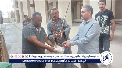 محافظ أسيوط: توريد أكثر من 113 ألف طن قمح حتى الآن