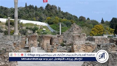 دراسة جينية حديثة تفكك الأسطورة.. سكان قرطاج لم يكونوا فينيقيين