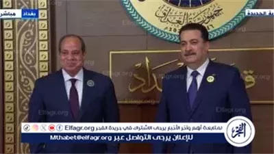 عاجل| السيسي يلتقي رئيس الوزراء العراقي على هامش قمة بغداد