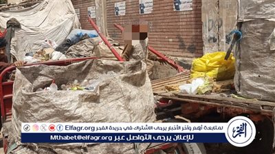 حملات مكثفة لرفع التعديات على حرم الطريق بشوارع المنصورة | صور