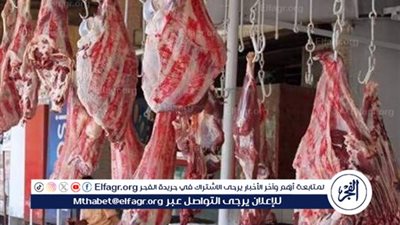 أسعار اللحوم البلدي والكندوز اليوم الخميس 12-6-2025 في الأسواق ومحال الجزارة بقنا