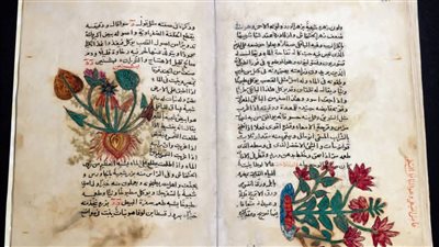 بيوم المتاحف العالمي: الآثار تطلق معارض مؤقتة حول تطور الكتابات والفنون 