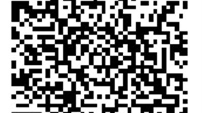 النيابة العامة تطلق المرحلة الثانية من خدماتها الإلكترونية عبر البوابة الرسمية