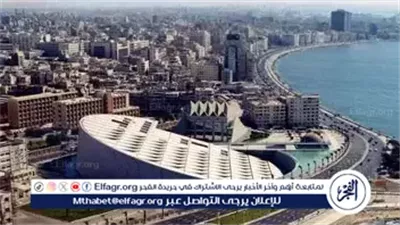 مكتبة الإسكندرية تعلن عن وظائف شاغرة والتقديم مستمر حتى 29 مايو 2025