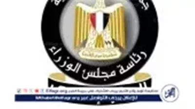 الحكومة تنفي ارتفاع نسب نفوق الدواجن: لا انتشار لأوبئة جديدة والتحصينات متوفرة بالكامل
