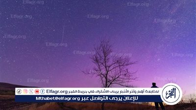 شاهد إبداع الخالق.. الشفق القطبي يُضيء سماء شمال شرقي الصين