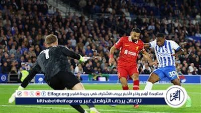 نتيجة وملخص أهداف مباراة ليفربول ضد برايتون في الدوري الإنجليزي
