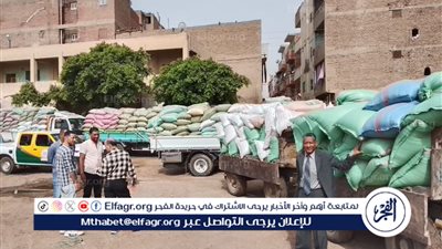 توريد 390 ألف طن من القمح بصوامع المحافظة منذ بدء موسم 2025