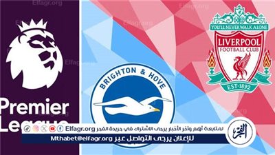يلا كورة لايف.. مشاهدة مباراة ليفربول ضد برايتون مباشر دون تقطيع | الدوري الإنجليزي الممتاز