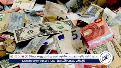 أسعار العملات اليوم الأحد 25 مايو 2025 مقابل الجنيه المصري بالبنوك