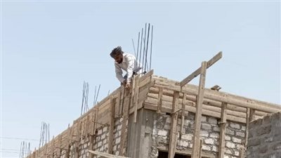 الوحدة المحلية بالسلامية تُنفّذ إزالة شدة خشبية مخالفة بعزبة دنقل