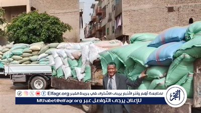 توريد 408 آلاف طن من القمح بصوامع المحافظة منذ بدء موسم 2025.