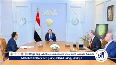 عاجل- السيسي يشدد على استقرار التغذية الكهربائية وتعزيز الإنتاج المحلي من البترول والغاز