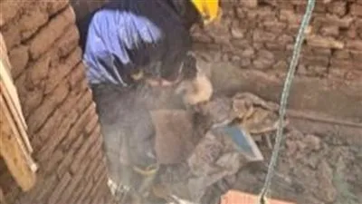 تلبية لأستغاثة سيدة الحماية المدنية بالفيوم تنقذ قطتين محتجزتين بأحد العقارات في الفيوم