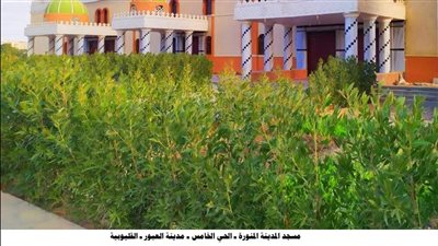 الأوقاف تفتتح 15 مسجدًا جديدًا وتُجدد آخرين غدًا الجمعة