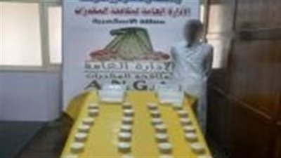 مصرع 4 مجرمين وضبط مخدرات بـ21 مليون جنيه في حملات بالإسكندرية وأسوان