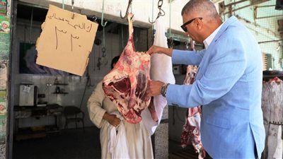 محافظ أسوان يفاجئ عدد من محلات الجزارة والمخابز البلدية بكوم أمبو