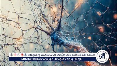  الولايات المتحدة توافق على أول فحص دم لمرض ألزهايمر