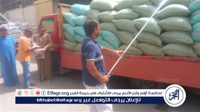 حصاد 188 ألف فدان من القمح وتوريد أكثر من 147 ألف طن للشون والصوامع حتى اليوم فى أسيوط 