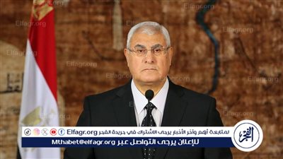 شيخ الأزهر يعزي المستشار عدلي منصور في وفاة شقيقه