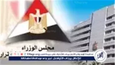 مصر تتقدم للمركز 65 عالميًا في مؤشر النظام البيئي للشركات الناشئة لعام 2025