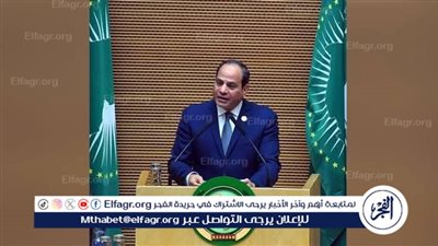 عاجل- السيسي في يوم إفريقيا: نجدد التزام مصر الراسخ بوحدة القارة وتعزيز مسار التنمية المستدامة 