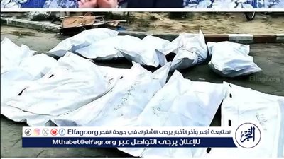 مجزرة جديدة في غزة.. الطبيبة آلاء النجار تفقد 9 من أطفالها بغارة إسرائيلية 