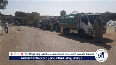 محافظ أسيوط: توريد أكثر من 153 ألف طن من القمح المحلي حتى اليوم 