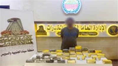 ضبط حشيش وأيس بـ 8 ملايين جنيه في السويس والقليوبية