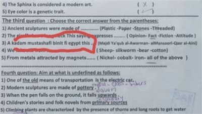 محافظة البحيرة تقرر إحالة المسؤولين عن خطأ ترجمة امتحان متعدد التخصصات لغات للتحقيق 