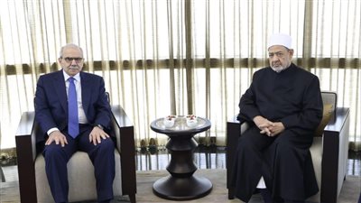 الإمام الأكبر يستقبل رئيس وزراء لبنان ويؤكِّد دعم الأزهر للشعب اللبناني