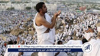  انطلاق بعثة الأطباء البيطريين المصريين للإشراف على الهدي والأضاحي في موسم حج 2025