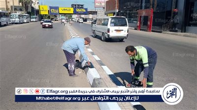 رئيــس غــرب المنصــورة يترأس جولة تنفيذية بالشوارع لمتابعة النظافة وتركيب مطبات صناعية