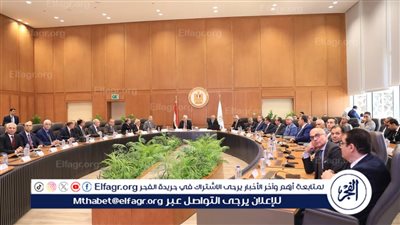 رئيس جامعتي المنصورة و