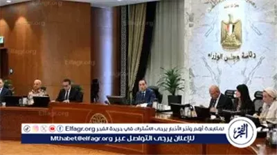 الحكومة: فرص استثمارية كبرى بقطاع الكهرباء والطاقة خلال 10 سنوات لتعزيز الشراكة مع القطاع الخاص وجذب رؤوس الأموال