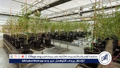 تقنية هجينة من 